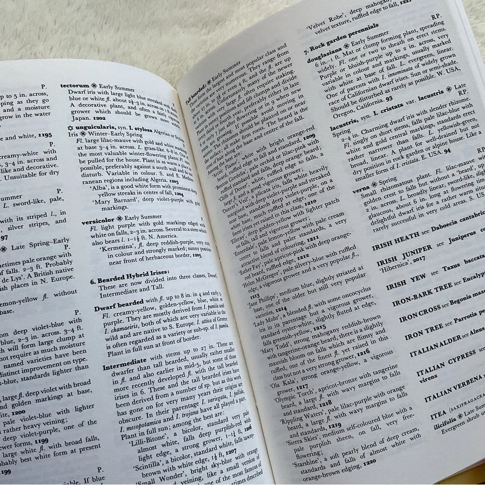Vintage beautiful comprehensive